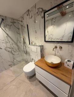 Parklane Seven - luxurious accommodation in central Haarlem - 1