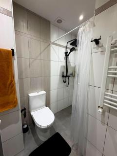 Cozy and stylish apartment in the heart of Dilijan - 6