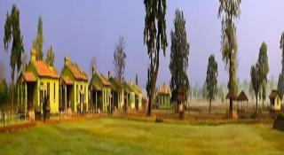 Bastar Jungle Resort - 5