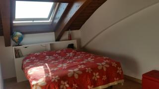 Apartment and bikes, great location in Senigallia - 5