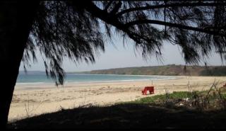 Sulochana Beach House - 8