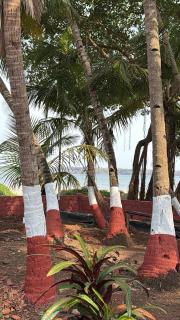 Sulochana Beach House - 9