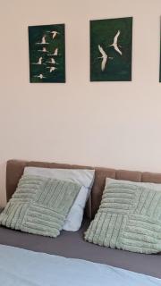 Apartmán Palackého sady - pohoda v srdci města - 1
