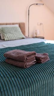 Apartmán Palackého sady - pohoda v srdci města - 6