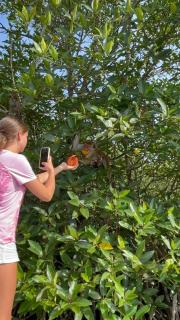 Koggala lake boat safari Mangrove & Cinnomon at ganesh - 6