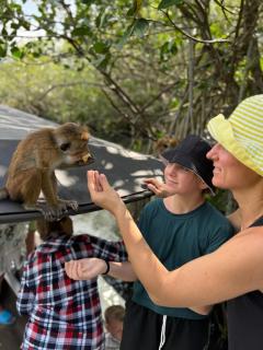 Koggala lake boat safari Mangrove & Cinnomon at ganesh - 1