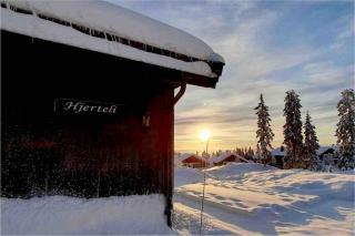 Romslig familiehytte med vedfyrt badestamp - 2