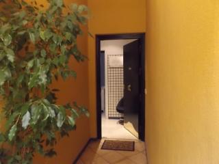 Alameda Donkey Parking - Siviglia - 0