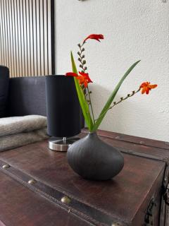 Ferienwohnung bei Freiburg - 1
