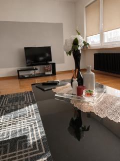 Apartment Check In Zagreb Maksimir-free parking - 1