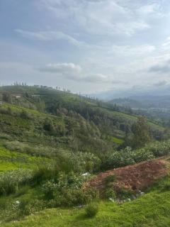 Natures lap Nundala Ooty - 6
