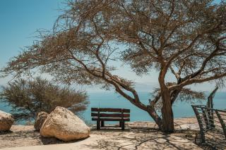 SPNI Ein Gedi Field School - 8