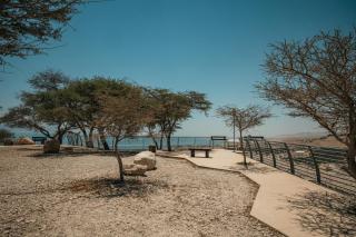 SPNI Ein Gedi Field School - 7