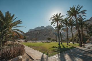 SPNI Ein Gedi Field School - 7