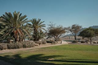 SPNI Ein Gedi Field School - 3