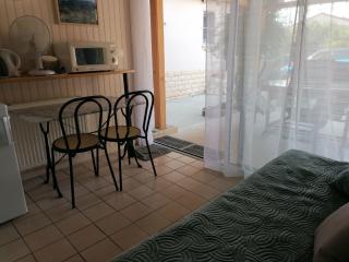 LE CHAMOIS DORT - 3