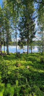 Haukilahti - 3