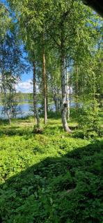 Haukilahti - 4