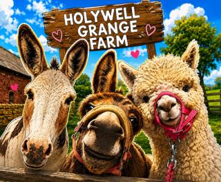 Holywell Grange Farm - 0