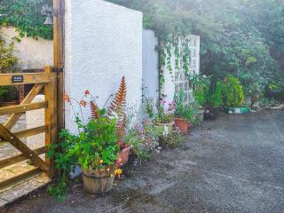 Blue Top - Fishguard - 1