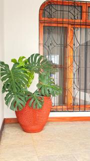 Diana bungalow - 9
