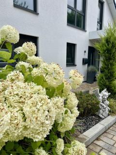 Moderne 1-Zimmer-Gästewohnung im Neubau mit schönem Garten - 9