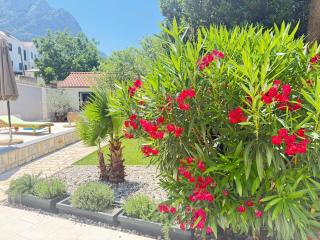 Villa Ella Bast - Baška Voda - Private Heated Pool &Garden - 1
