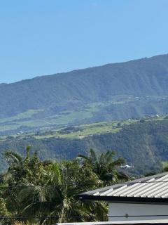 La Villa Monstera - 5
