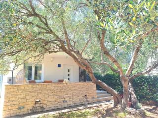 Olive tree apartment - 0