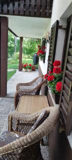 Apartma Dajana - 5