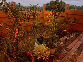 Créole Garden Eco-lodge - 3