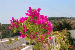 Vila Bliss - Ksamil - 5