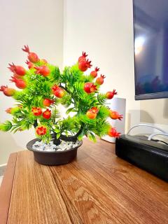 Nasha homes - 8