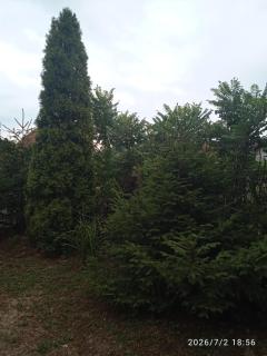 Seosko Domacinstvo Stanimirovic - 3