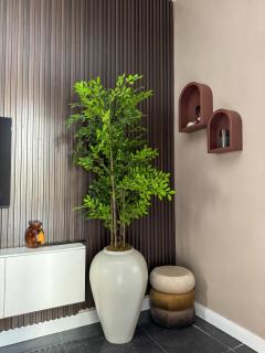 Nest & Haven Apartments - 1