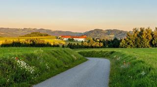 Wohnen im Grünen - Landidylle mit Komfort Nähe Linz - 7