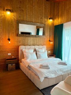 Stone Room with jacuzzi Sinaia - 9