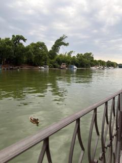Vasilisa Luxury River House - 3