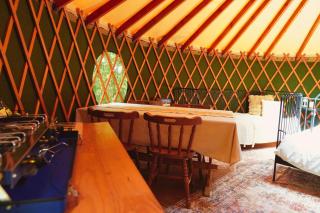Yurtcamp Devon - 1
