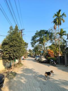 Nibha's green stay - 1