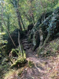 Emplacements pour caravanes - 4
