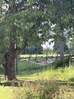 Antesbo - Charming Swedish Country House near Astrid Lindgren's World - 8