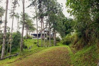 El Santuario I Shelter among Pines l Pet Friendly - 7