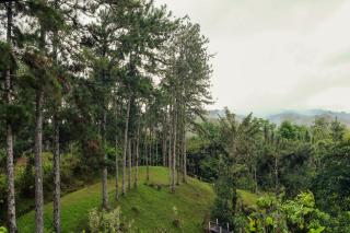 El Santuario I Shelter among Pines l Pet Friendly - 8