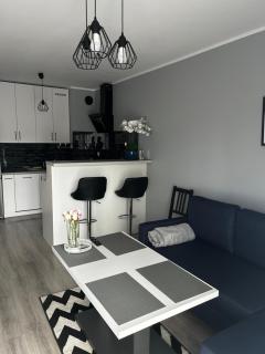 Apartament w Dolinie Baryczy - 0