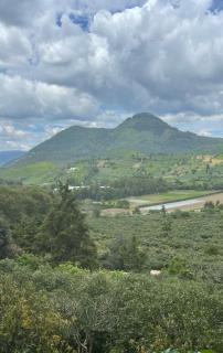 The Avo Village - Cabin with Jacuzzi near Antigua Villa 1 - 6