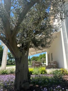VILLA CARLANTONIO - Rimini - 4