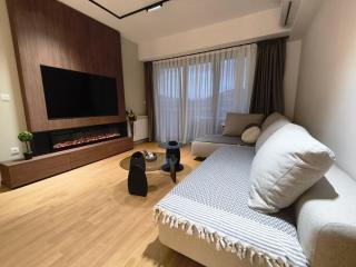 Luxury Grand Skopje Apartment Free Parking Fireplace City View - 8