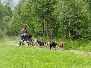 Holmen Husky Lodge - 8