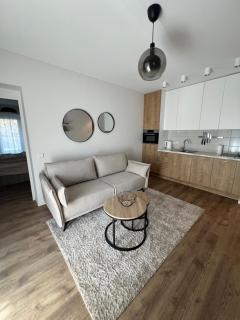 Modern Apartment next to Kaunas castle - 7